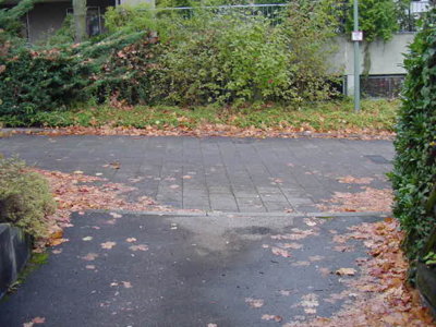 Driveway.JPG