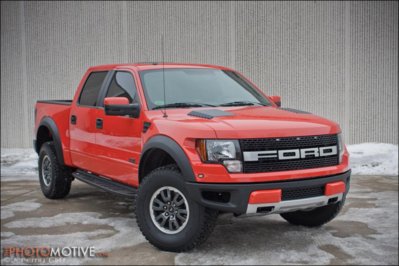 raptor8.jpg