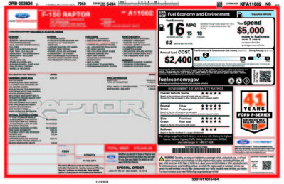 2019 Magnetic Raptor 1 reduced.jpg