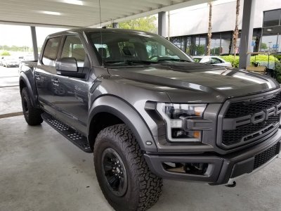 My Raptor.jpg