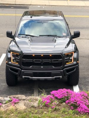 ford raptor drl