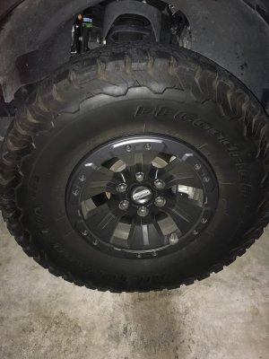 Raptor - Tire Full View.jpg