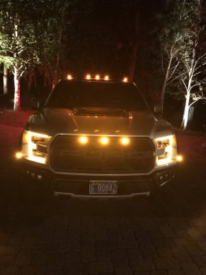 raptor roof lights