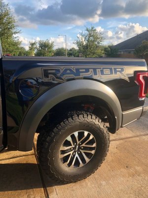 Raptor Bedside Decal Driver Side.jpg