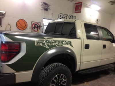 raptor decal 6.jpg