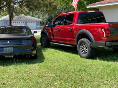 Mustang and Raptor4.jpg