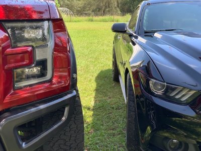 Mustang and Raptor1.jpg