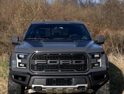 Raptor 10 hood.jpg