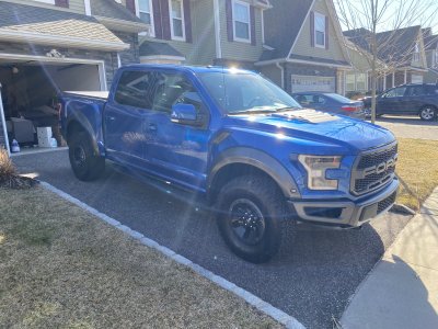 Raptor1.jpg