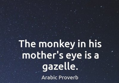 the-monkey-in-his-mothers-eye-is-a-gazelle.jpg