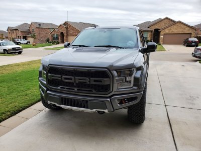 Raptor(1).jpg