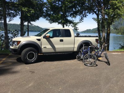 Raptor at Doreena Lake.JPG