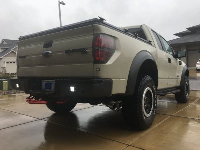 Raptor rear LEDs.JPG