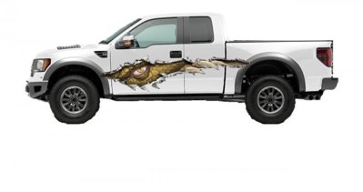 raptor decal.jpg