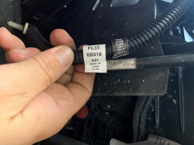 Existing Plug Label.jpg