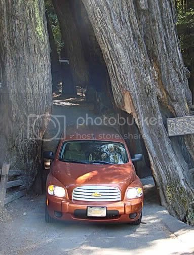 redwood05-6-shrine.jpg