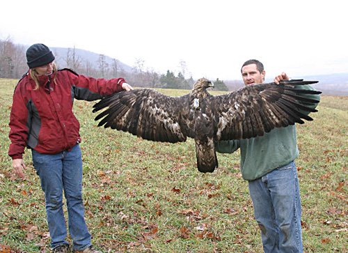 golden-eagle-mike-and-trish.jpg