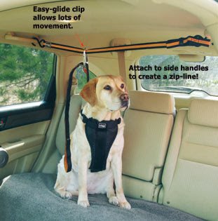 dog+seatbelt.jpg