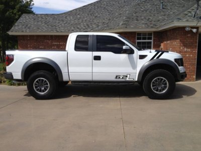 White Raptor copy.jpg