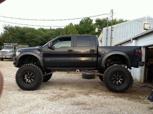 47759631t-wanted-share-big-raptor-image-2760571868.jpg