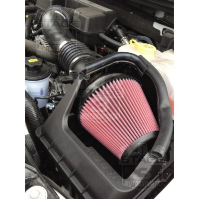 1239_2010_2012_f150_raptor_roush_cold_air_intake_2.jpg