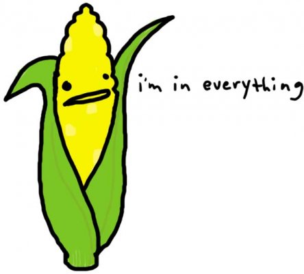 Corn-Im-in-Everything3.jpg