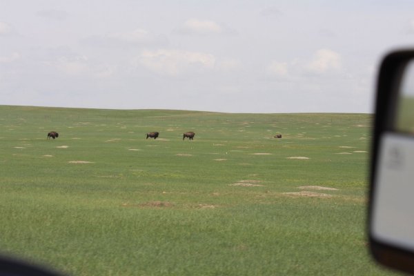 2013SouthDakotaRaptorRun_201305282411_zps57bac968.jpg