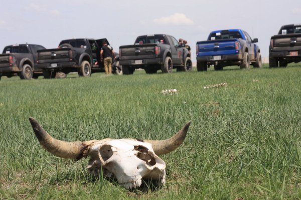 2013SouthDakotaRaptorRun_201305282680_zps39a9c9da.jpg