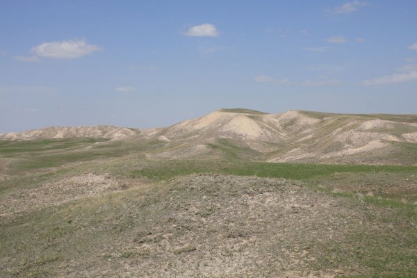 2013SouthDakotaRaptorRun_201305282733_zps47f00ce2.jpg