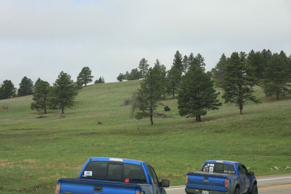 2013SouthDakotaRaptorRun_2013052821330_zps60706e18.jpg