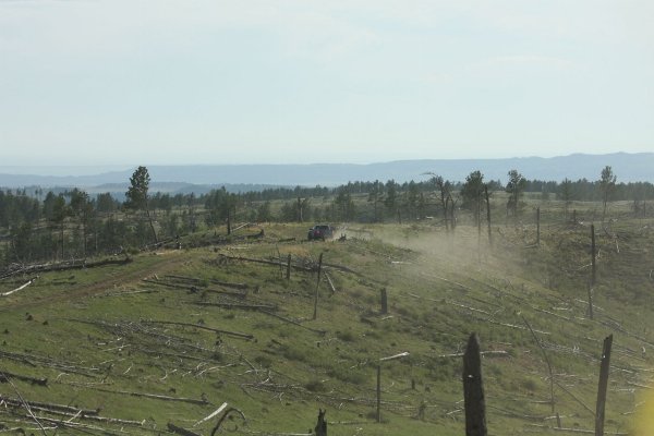 2013SouthDakotaRaptorRun_2013052821555_zpsed6cf5eb.jpg