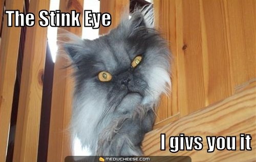 the-stink-eye-i-givs-you-it.jpg