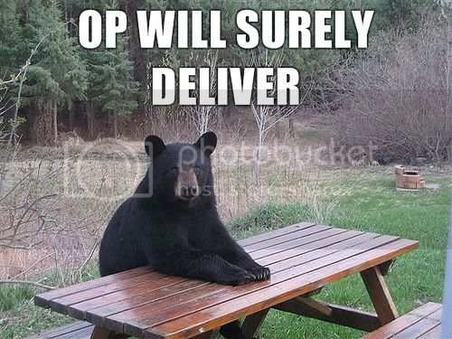 OP-will-surely-deliver.jpg