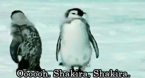 November-19-2011-23-56-16-shakirapenguin.gif