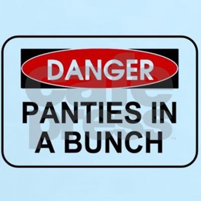 danger_panties_in_a_bunch.jpg