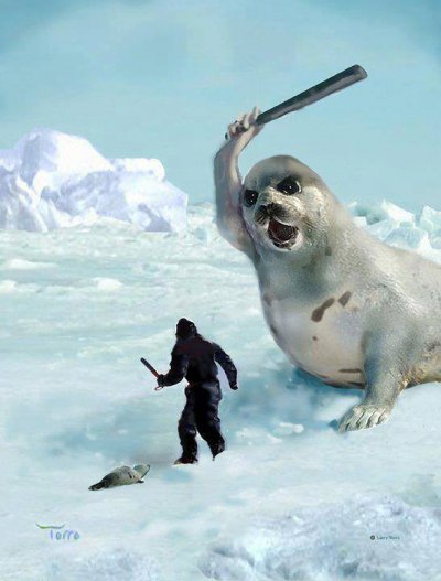 Seal-Beat.jpg