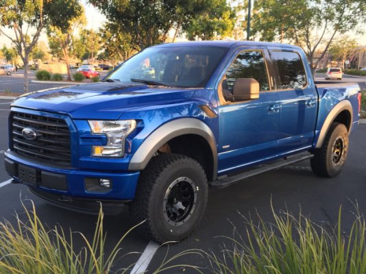 FW-F1H-0022015F150FiberwerxRaptor-StyleHood01.jpg