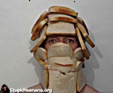 bread_head_toast_helmet_protection_rerun_stupid_human_1298682174_385829.jpg