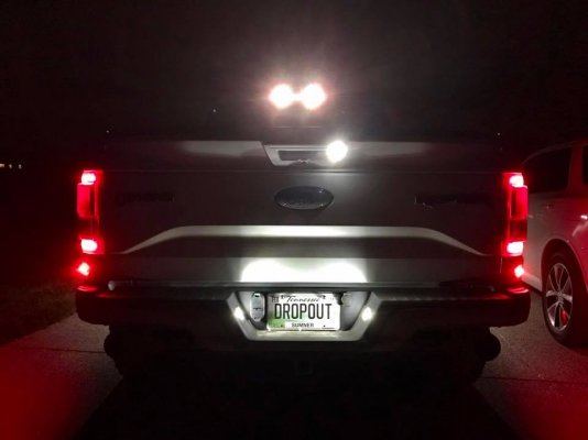 2018 f150 store license plate light