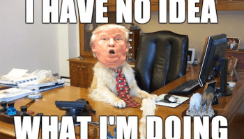 noideeadogtrump600-600x380-2.png