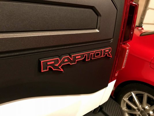 RaptorTail01web.jpg