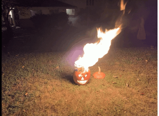 burntorange.gif