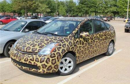 rs_450x290-151012131524-worst-paint-job-14.jpg