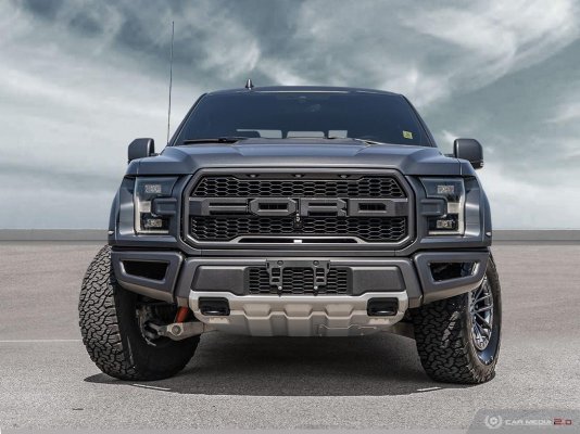 Gray Matter Raptor 