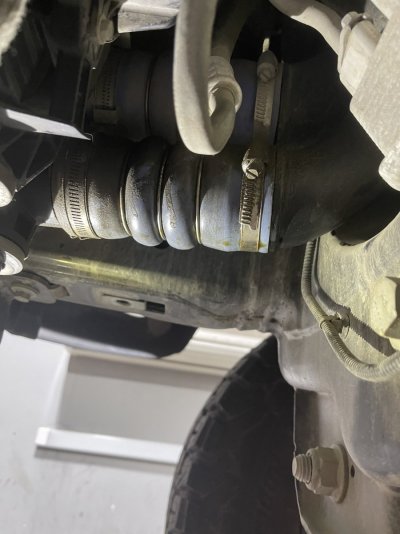 GEN 2 - Oil leak Ford Raptor 2017 | Ford Raptor Forum