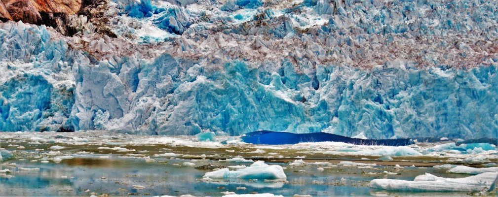 2015-07-08 TRACY ARM 198.JPG