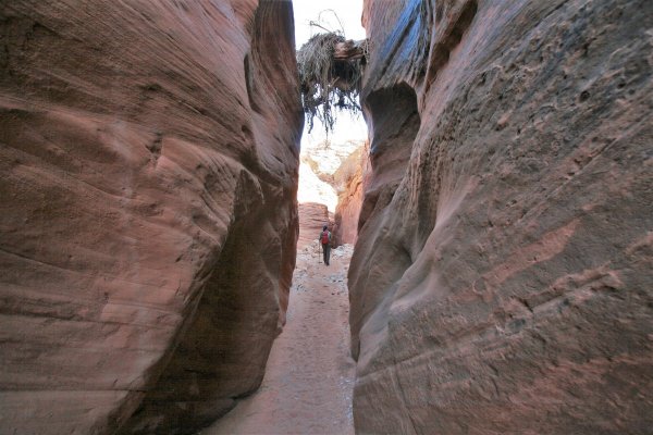 2014-01-18 BUCKSKIN GULCH SLOT CANYON 110.JPG