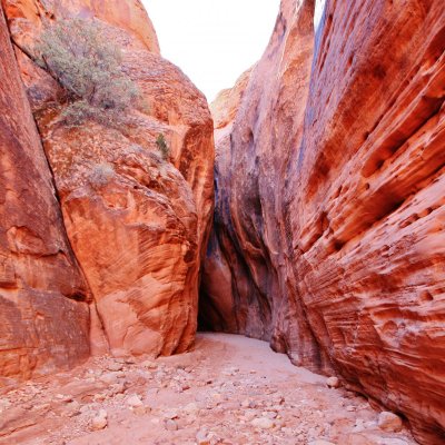 2014-01-18 BUCKSKIN GULCH SLOT CANYON 234.JPG