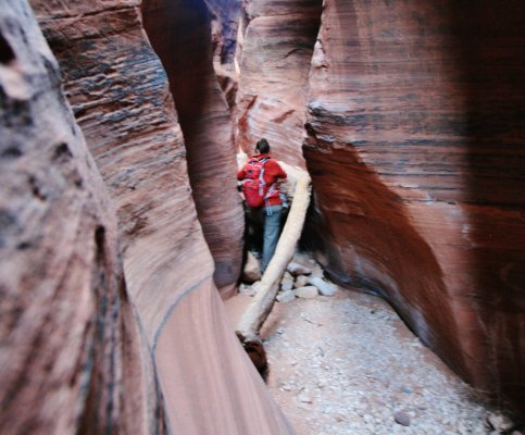 2014-01-18 BUCKSKIN GULCH SLOT CANYON 282.JPG