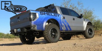 shelby-raptor.jpg